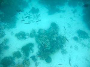 f0190653_17374041.jpg