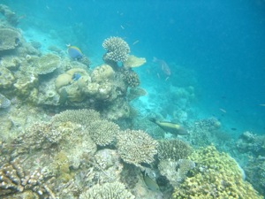 f0190653_17385434.jpg