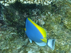 f0190653_17425892.jpg