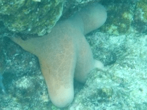 f0190653_17521859.gif