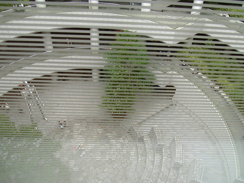 e0083359_0144134.jpg