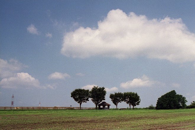b0175964_2023041.jpg