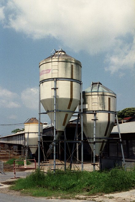 b0175964_202684.jpg