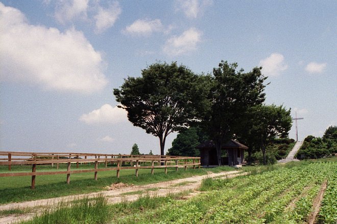 b0175964_2032438.jpg