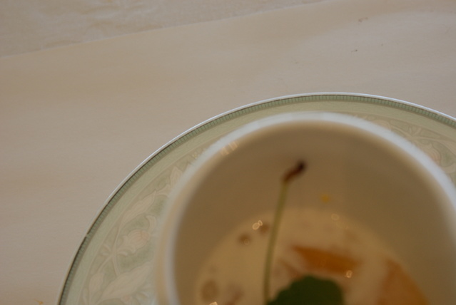 a0091666_13281051.jpg