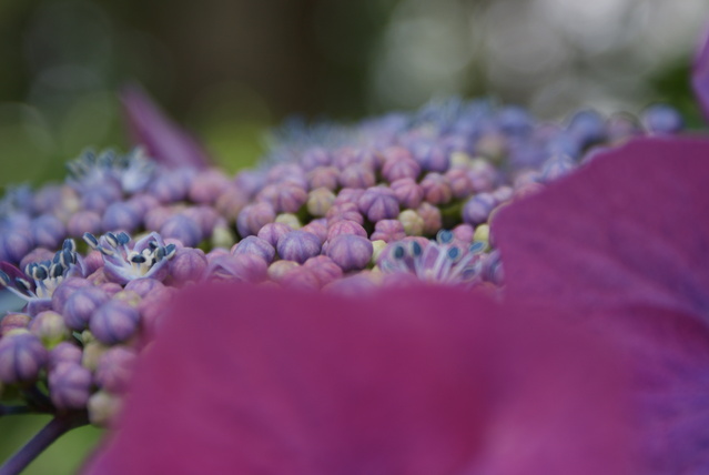 a0091666_13351250.jpg