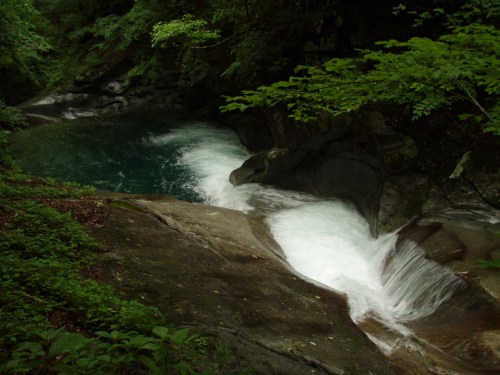 b0050067_9212550.jpg