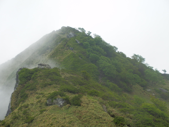 c0042869_21305492.jpg