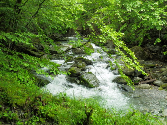 c0042869_21414119.jpg