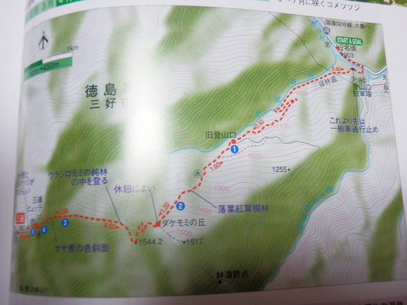 c0042869_2230145.jpg