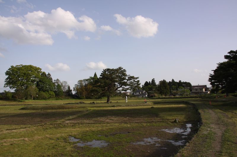 c0148781_1734016.jpg