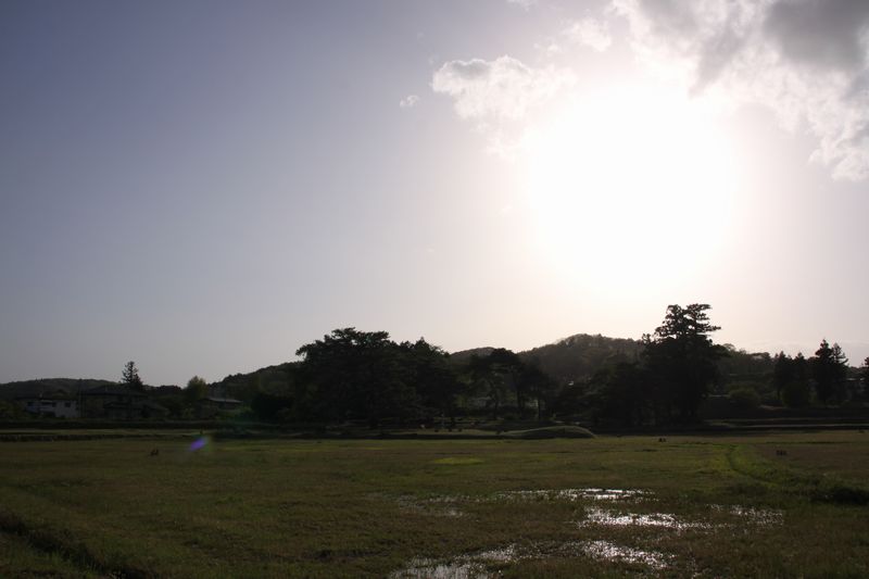c0148781_17344854.jpg