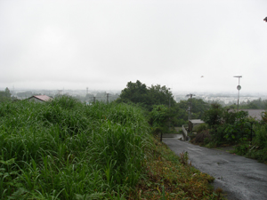 d0159789_1431689.jpg