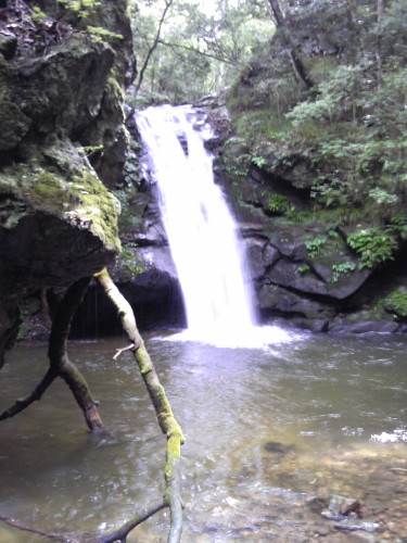 e0094589_1951895.jpg
