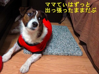e0121589_059509.jpg