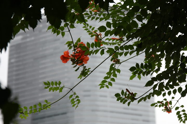 f0164989_1416100.jpg