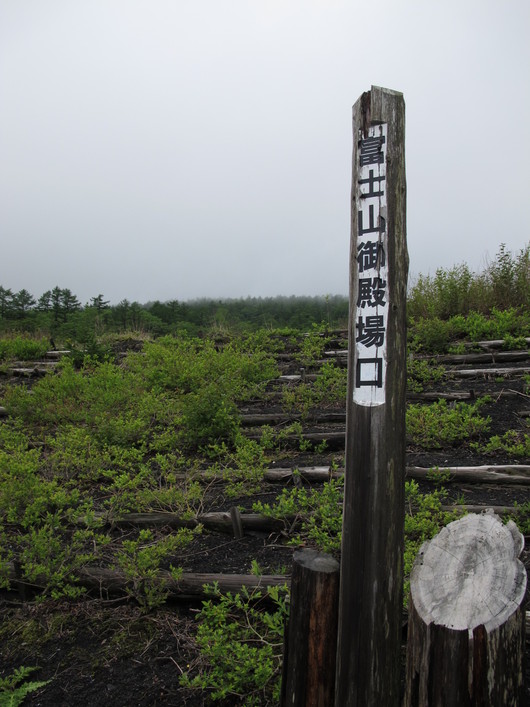 f0023791_23115254.jpg