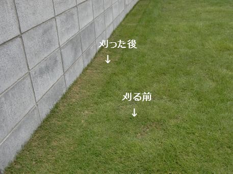 c0028792_23263845.jpg