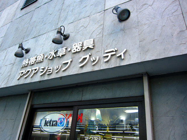 c0225297_13552914.jpg