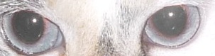 d0057701_10213142.jpg