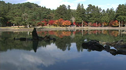 b0083902_16285616.jpg