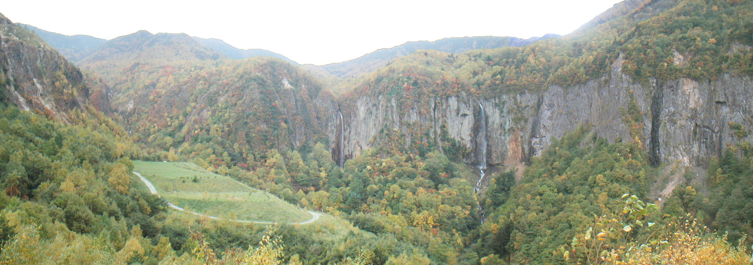 a0188405_9251997.jpg