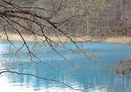 e0078510_23312044.jpg