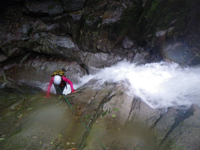 d0006512_21531975.jpg
