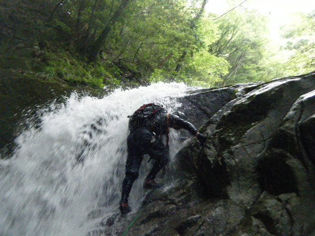 d0006512_2155241.jpg