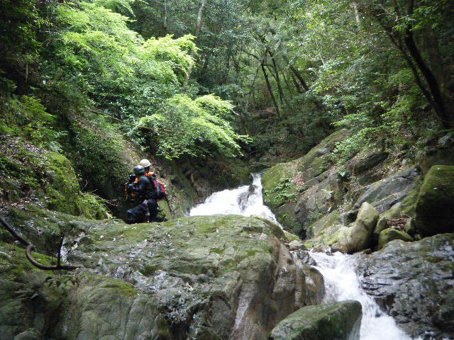 d0006512_2155397.jpg