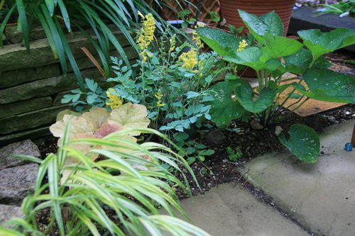 e0102713_10494225.jpg