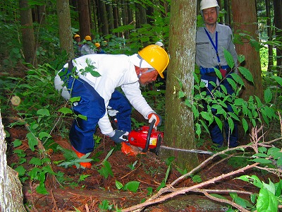 e0002820_23255513.jpg