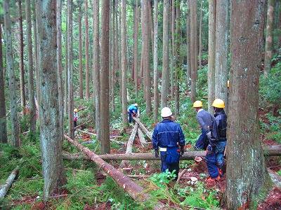 e0002820_232658100.jpg