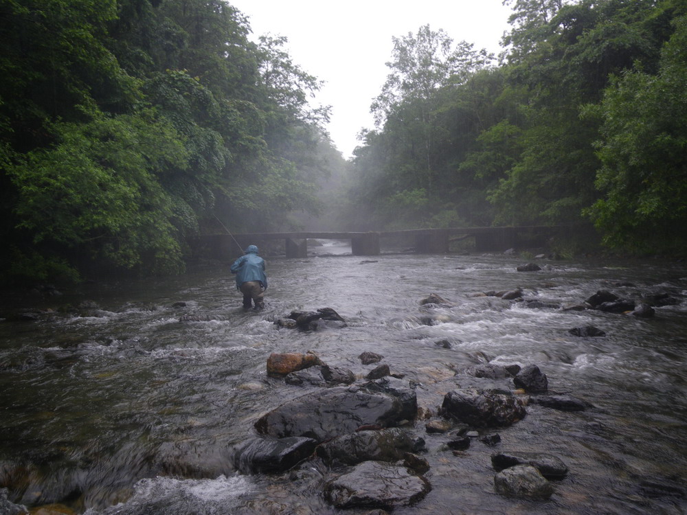 c0229421_20565215.jpg
