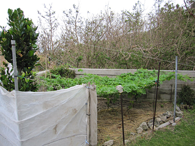 f0041021_8121646.jpg