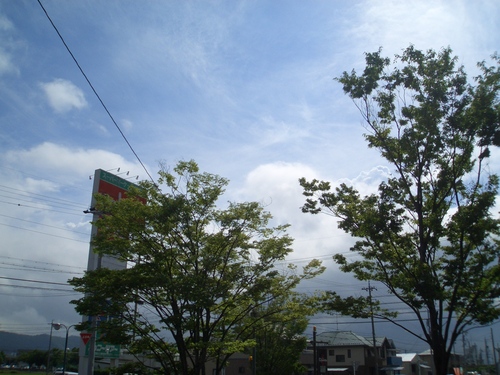 a0099129_14443339.jpg