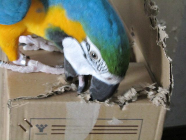 e0107730_2327427.jpg