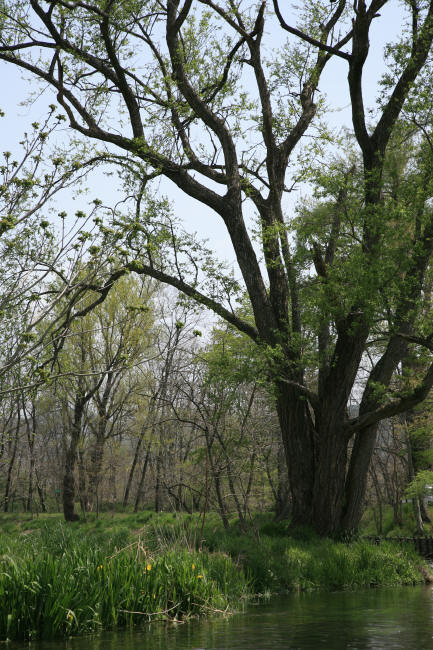 f0017530_228314.jpg