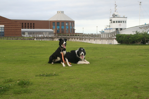 b0085331_21255167.jpg