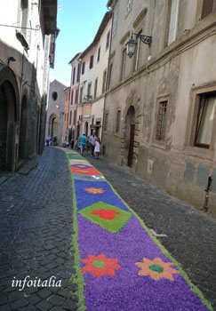 c0077533_7281249.jpg