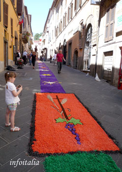 c0077533_785044.jpg