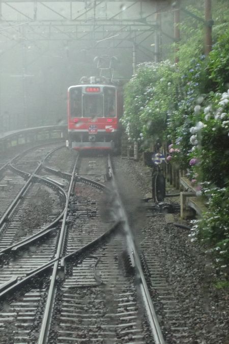 箱根登山鉄道　～あじさい電車～の旅♪　 - リズムのある暮らし