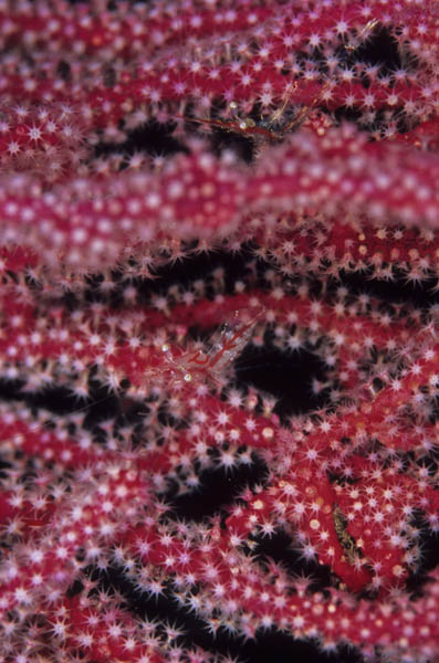 b0042837_213025.jpg