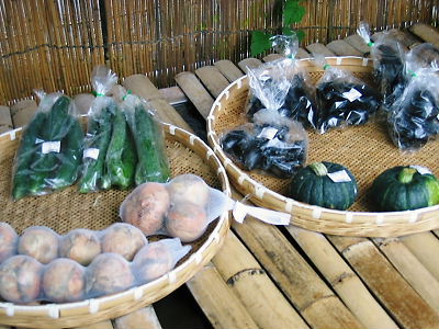 e0022839_042479.jpg