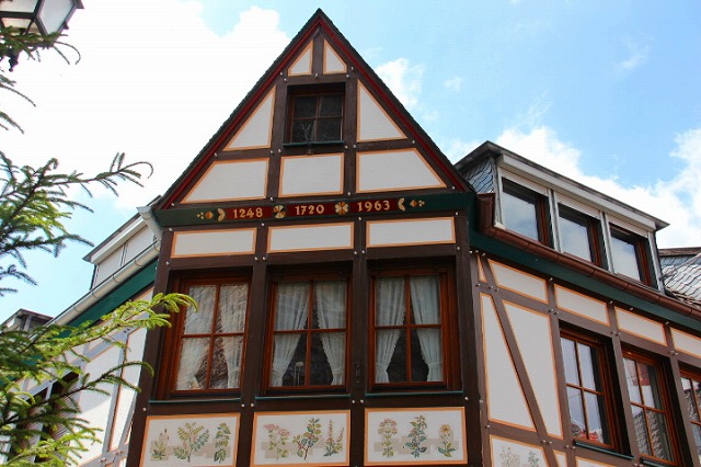 c0153740_248772.jpg