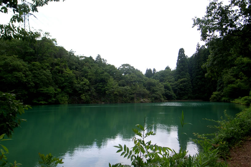a0130641_12173330.jpg