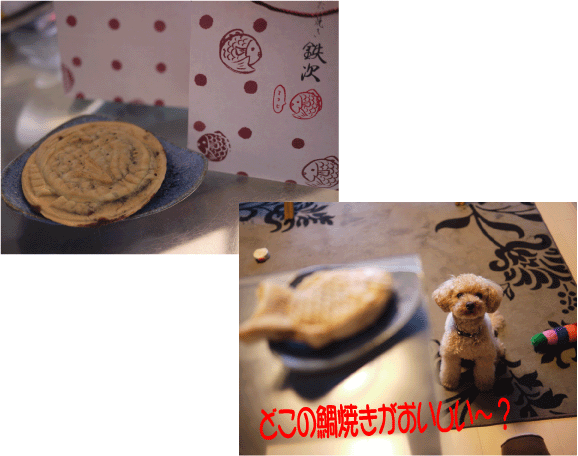 b0182846_14172864.gif