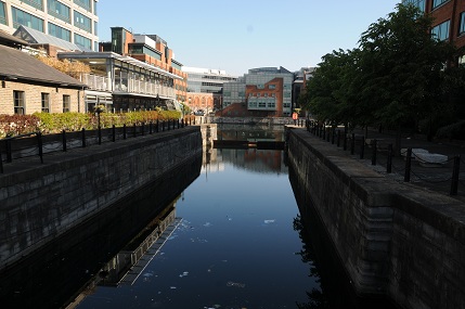 c0027849_937641.jpg