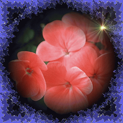 b0133752_11202846.gif