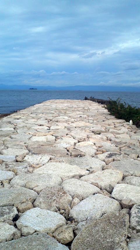 f0178153_1040087.jpg